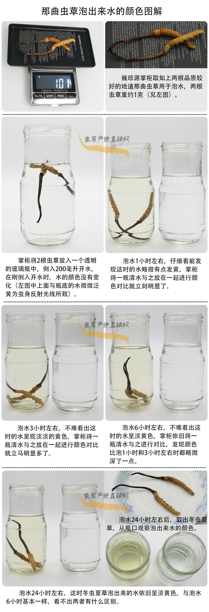 ���x�Ĳ��ݳ���ˮ���ɫ�����x�Ĳ��ݳ�����ˮ��ʲô�ɫ�����x�Ĳ���ˮ���ɫ��׃�����������x�����^ˮ��ˮ׃��ʲô�ɫ