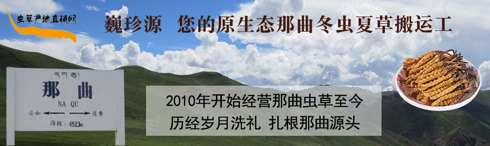 ���x(ch��ng)�Ĳ�,��B���������x(ch��ng)�������r�x(ch��ng)�ݺ��������r���x(ch��ng)�Ĳ�,���l(f��)�����x(ch��ng)�Ĳ݃r(ji��)��