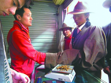 ���x(ch��ng)�Ĳ��I(m��i)�u,�����x(ch��ng)�ݽ������Z(y��),�x(ch��ng)���I(m��i)�uӑ�r(ji��)߀�r(ji��)�ð��Z(y��)